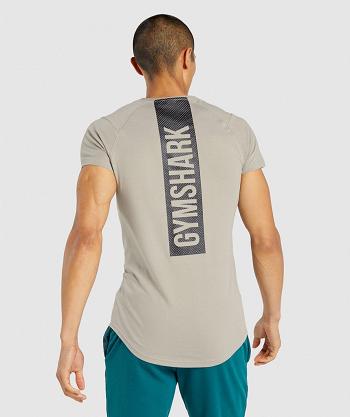 Gymshark Bold Muške T Shirts Sive | HR 2449ZUT